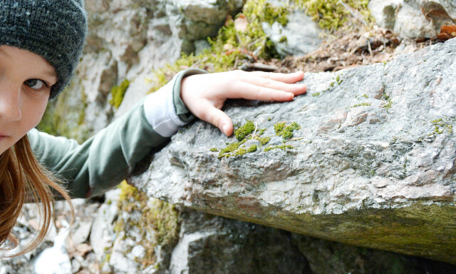 «Betydelig sum»- her fant Ole Didrik (13) den mystiske pengebunken